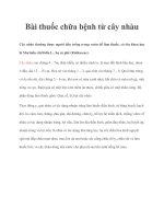 Bài thuốc chữa bệnh từ cây nhàu pdf