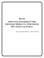 báo cáo tiềm năng sinh khối từ phụ phẩm đậu phộng của tỉnh thanh hóa (peanut crop residues)