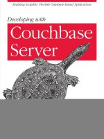 Developing with Couchbase Server potx
