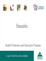 Sinusitis Health Promotion and Education Program ppt