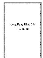 Công Dụng Khác Của Cây Đu Đủ doc