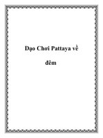Dạo Chơi Pattaya về đêm pptx