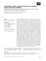 Báo cáo khoa học: Investigation of the interaction between the atypical agonist c[YpwFG] and MOR docx