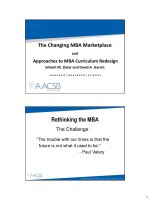 The Changing MBA Marketplace and Approaches to MBA Curriculum Redesign docx