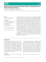 Báo cáo khoa học: Enhancing the protein production levels in Escherichia coli with a strong promoter potx