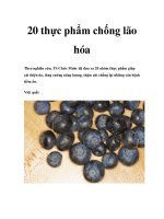 20 thực phẩm chống lão hóa pot