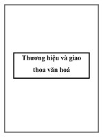 Thương hiệu và giao thoa văn hoá doc