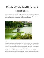 Chuyện về Tháp Rùa Hồ Gươm, ít người biết đến pot