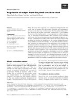 Báo cáo khoa học: Regulation of output from the plant circadian clock pot