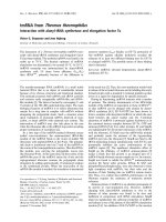 Báo cáo khoa học: tmRNA from Thermus thermophilus Interaction with alanyl-tRNA synthetase and elongation factor Tu pptx