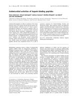 Báo cáo khóa học: Antimicrobial activities of heparin-binding peptides pdf