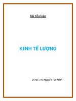 Bài tiểu luận Kinh tế lượng pot