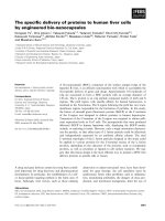 Báo cáo khoa học: The speciﬁc delivery of proteins to human liver cells by engineered bio-nanocapsules doc