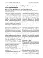 Báo cáo Y học: An active site homology model of phenylalanine ammonia-lyase from Petroselinum crispum docx