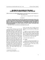 Ảnh hưởng của b, mo, zn đến các chỉ tiêu sinh lý và năng suất lạc (Arachis hypogaea l.) ở thừa thiên huế pdf