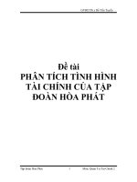phân tích tình hình tài chính của công ty tân hòa phát