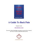 A Guide To Back Pain doc