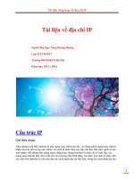Tài liệu tổng hợp về địa chỉ IP pptx