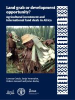 Land grab or development opportunity? Agricultural investment and international land deals in Africa pot