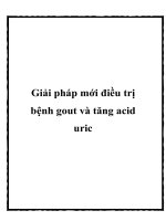 Giải pháp mới điều trị bệnh gout và tăng acid uric pptx