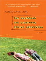 The Handbook for Lightning Strike Survivors By Michele Young-Stone doc