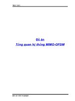 Tổng quan hệ thống MIMO - OFDM