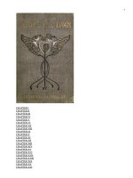 Before the Dawn A Story of the Fall of Richmond pptx