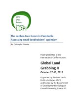 The rubber-tree boom in Cambodia: Assessing small landholders’ optimism potx