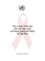 Các ưu tiên chiến lược của Liên Hợp Quốc về phòng chống HIV/AIDS tại Việt Nam pptx