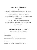 PRACTICAL TAXIDERMY A MANUAL OF INSTRUCTION TO THE AMATEUR IN COLLECTING, PRESERVING, AND SETTING UP NATURAL HISTORY SPECIMENS OF ALL KINDS doc