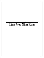 Làm Meo Nấm Rơm potx
