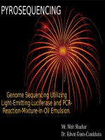 The a and b adapters are used as priming sites for both amplification