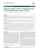 Expression pattern of matrix metalloproteinases in human gynecological cancer cell lines ppt