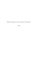 selected chapters in the calculus of variations - moser j