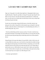 LẨY BẨY NHƯ CAO BIỀN DẬY NON pdf