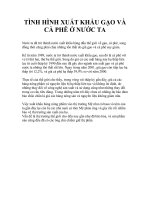 TÌNH HÌNH XUẤT KHẨU GẠO VÀ CÀ PHÊ Ở NƯỚC TA ppt