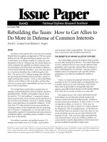 Rebuilding The Team - How To Get Allies To Do More In Defense Of Common Interests potx