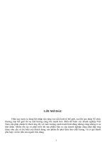 Kế toán nguyên vật liệu - công cụ dụng cụ trong doanh nghiệp” tại Công ty Cổ phần Khoáng sản và công nghiệp Đại Trường Phát