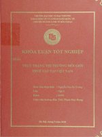 thực trạng hoạt dộng môi giới thuê tàu tại việt nam