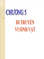 CHƯƠNG 5. DI TRUYỀN VI SINH VẬT docx