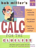 calculus for the clueless - calc.i - bob miller's
