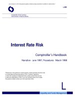 Interest Rate Risk Comptroller’s Handbook pot