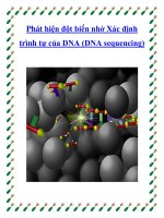 Phát hiện đột biến nhờ Xác định trình tự của DNA (DNA sequencing) docx