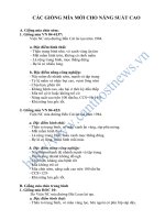 CÁC GIỐNG MÍA MỚI CHO NĂNG SUẤT CAO potx