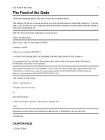 The Food of the Gods A Popular Account of Cocoa pdf