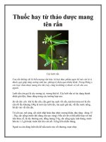 Thuốc hay từ thảo dược mang tên rắn docx