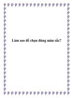 Làm sao để chọn đúng màu sắc? ppt