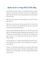 Quản trị rủi ro trong thời kỳ biến động pdf