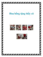 Hoa hồng tặng thầy cô pdf