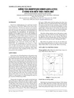 GIỐNG TẢO DINOPHYSIS (DINOFLAGELLATES) Ở VÙNG VEN BIỂN THỪA THIÊN-HUẾ pptx